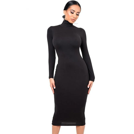 Long Sleeve Turtleneck Dress