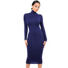 Long Sleeve Turtleneck Dress