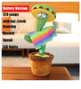 Parrot Cactus: The Hilarious Cactus